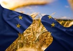 EU flagg kombinert med bilde av kornåker og blå himmel 