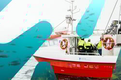 Fiskebåt kombinert med bilde av fisk i havet