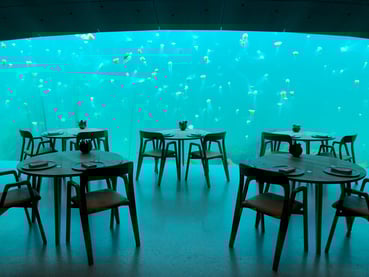 Mange maneter sett fra vinduet ut i havet i undervannsresrestauranten Under 