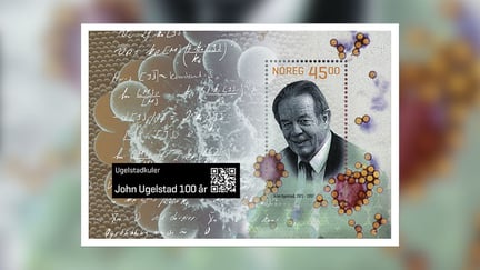 Frimerke med matematiske formler, sort-hvitt portrett av eldre mann og  tegnede kuler i klustere