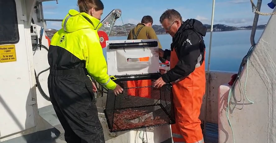 tre fiskere på en fiskebåt og en reketeine