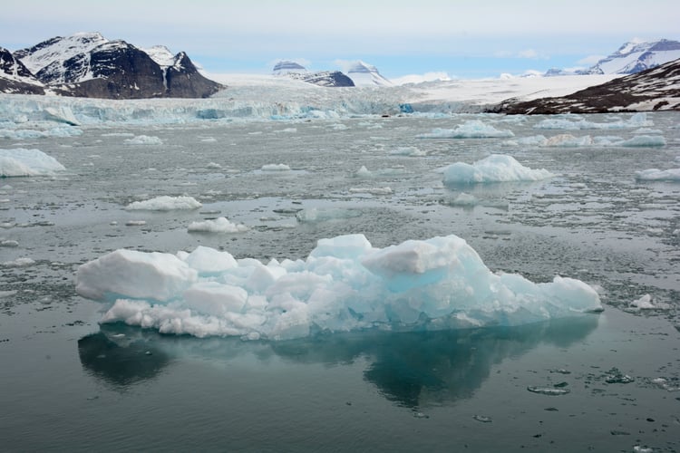 Smeltende is i sjøen foran en brefront 