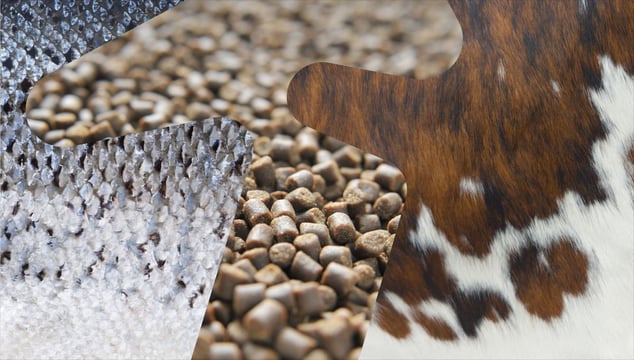 Illustrasjonsbilde satt sammen av lakse- og kuskinn samt billde av dyrefôrpellets