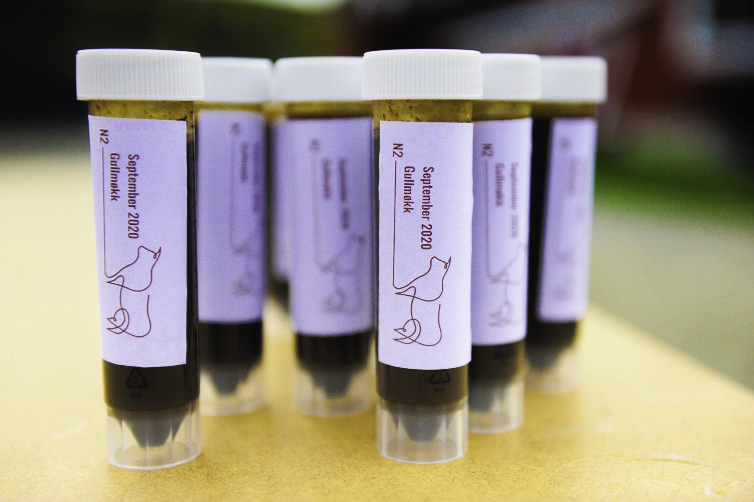 M&oslash;kk i reagensr&oslash;r